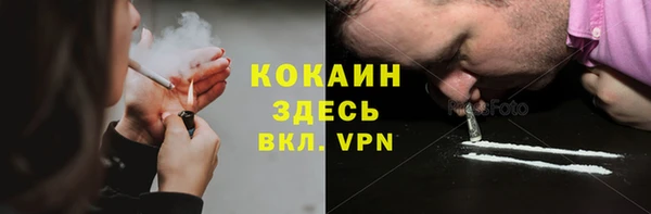 шишки Пролетарск