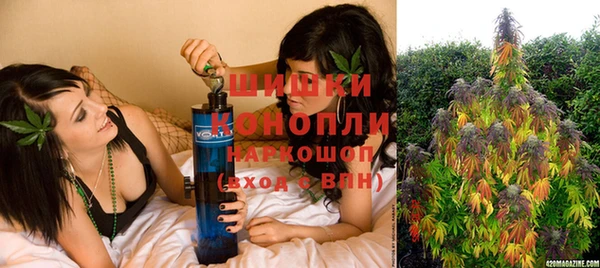 шишки Пролетарск