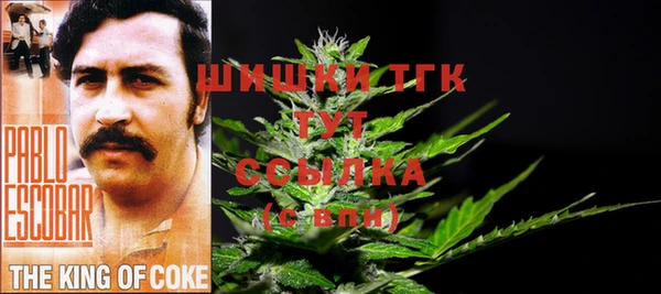 шишки Пролетарск