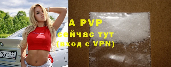 шишки Пролетарск